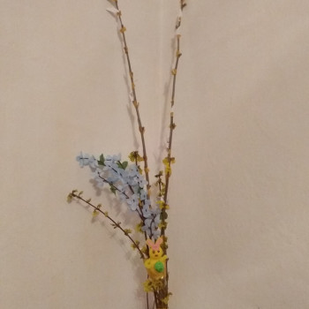 IMG_20200403_205418078